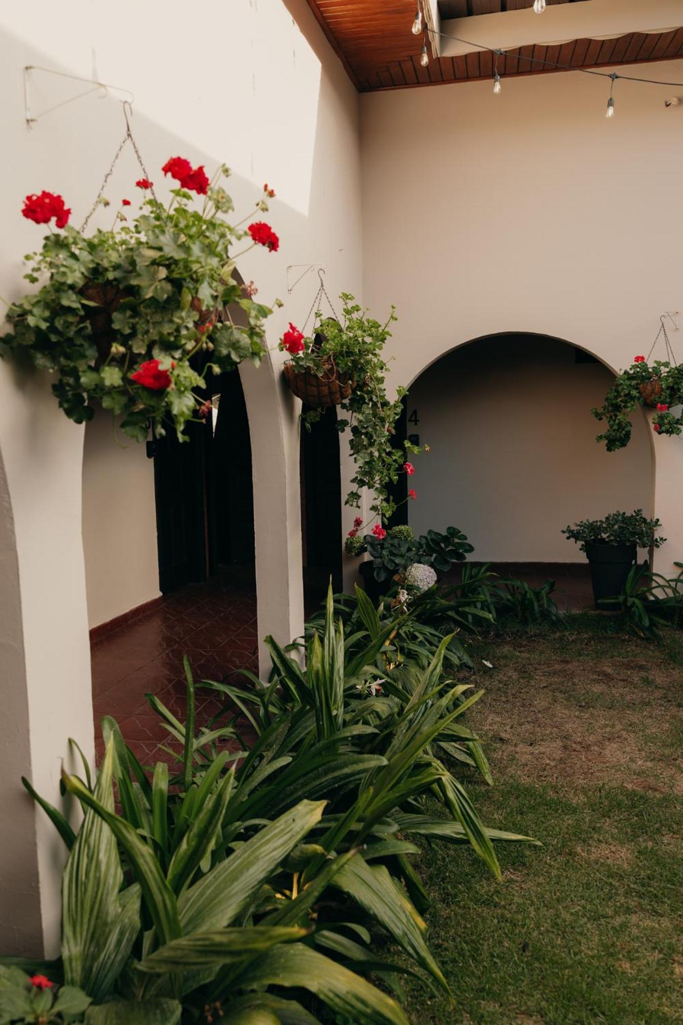 Hotel Boutique Rebequet Boquete Ngoại thất bức ảnh